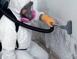 Best Water Damage & Mold Remediation  in Point Lookout, NY